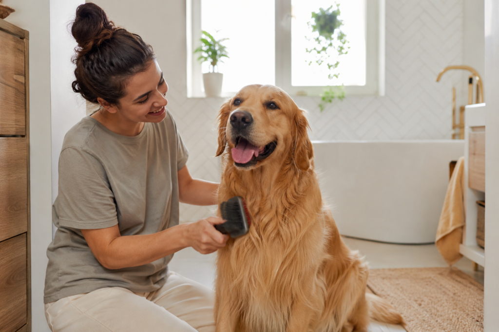 Hábitos de Higiene Diaria para Perros en España